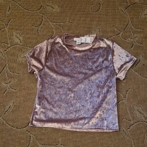 Ivy & Main Velvet Short Sleeve Crop Top in Rose